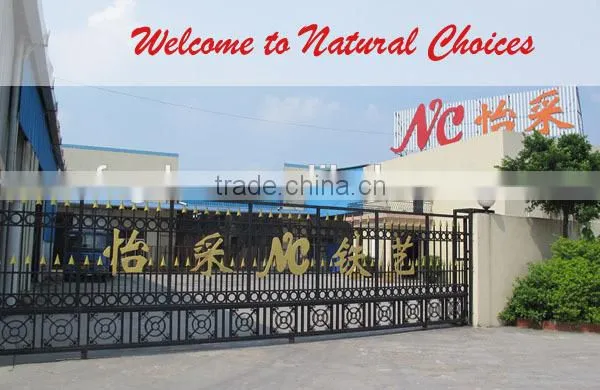 Decorative Eyebrow Top Double Iron Metal Door