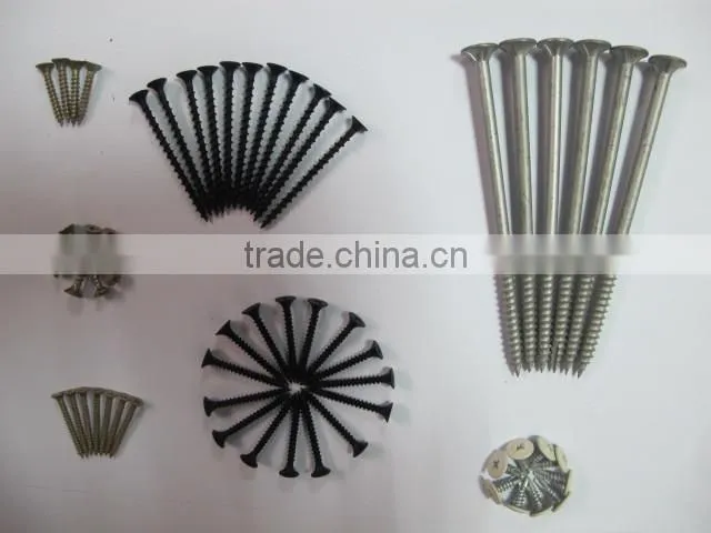 High quality bugle phillip head self tapping drywall screw,fine/corase thread,black/grey phospated,China manufacturers
