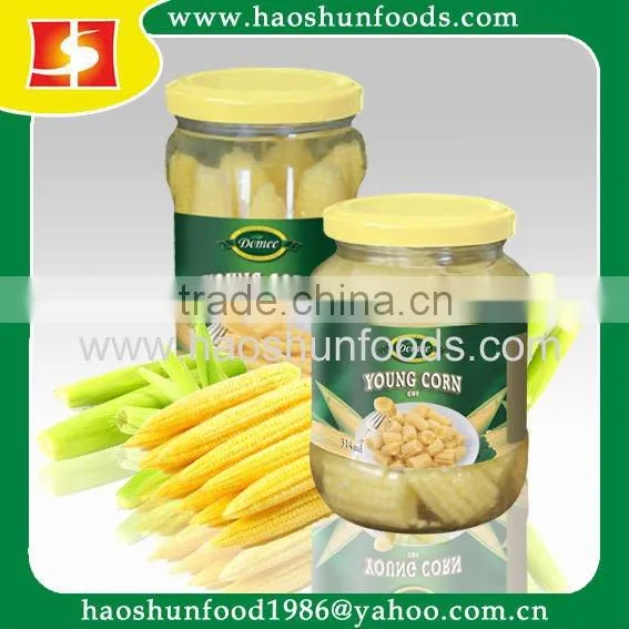 Canned Young Corn Cut