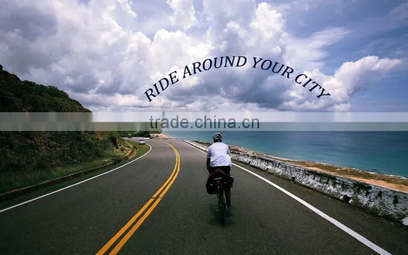 Folding ightning-protection racing disc brake speed mountain bicycle
