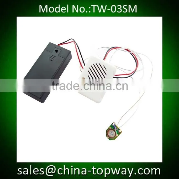 Music sound module for stuffed animals plush toys