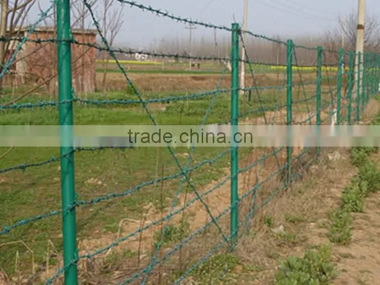 anping galvanized barbed wire for sale price from china