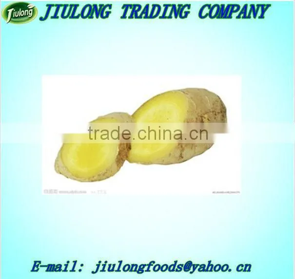 Fresh ginger price price