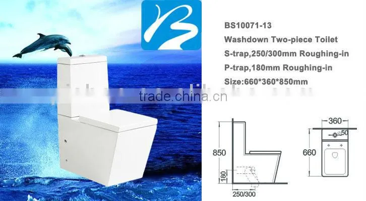 Water Saving S-trap 250/300mm Toilet