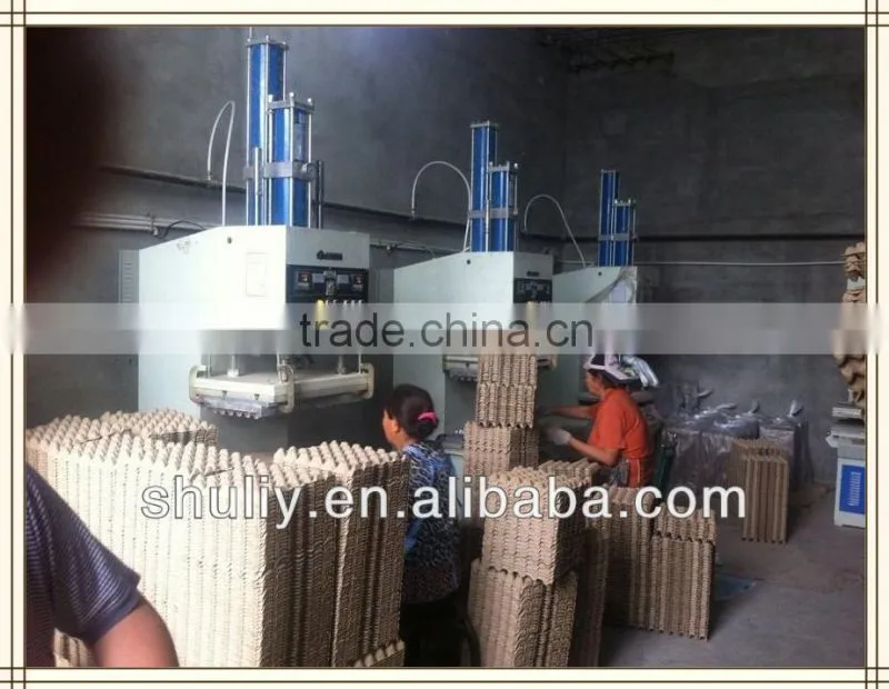 Automatic egg tray pulp molding machine(Skype:shuliy218)