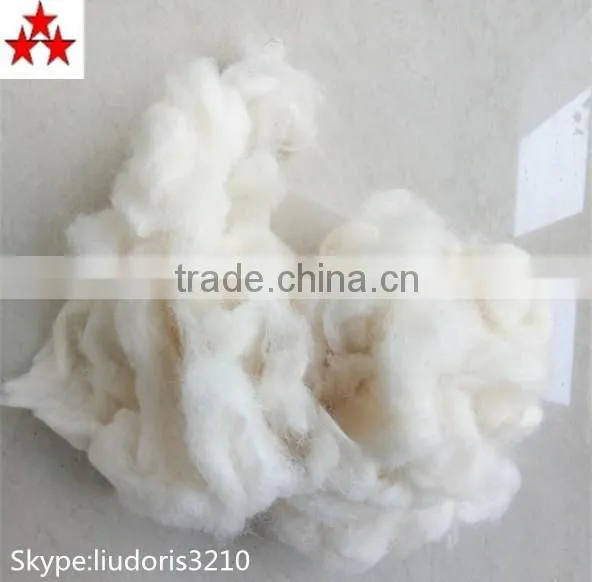 Sheep scoured carded wool waste 24-34mic for felting