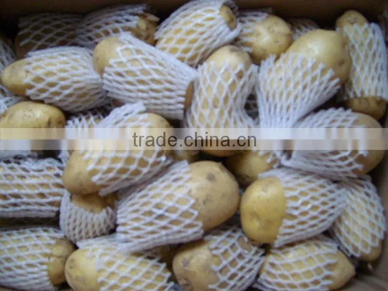 new crop fresh potato from China