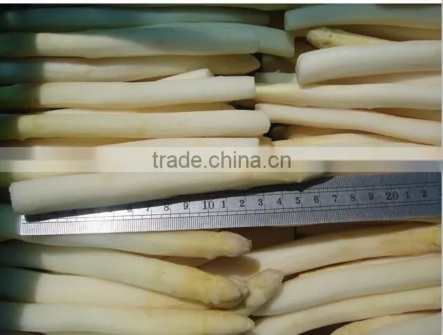 Frozen IQF White asparagus,Grade A