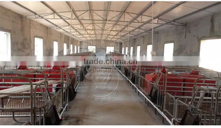 Pig Farm Automatic Feeding System Pig Poultry Feed delivery line