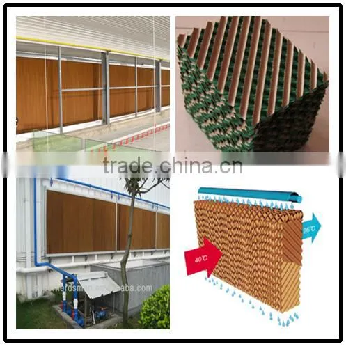 automatic rearing breeders chicken farm equipment