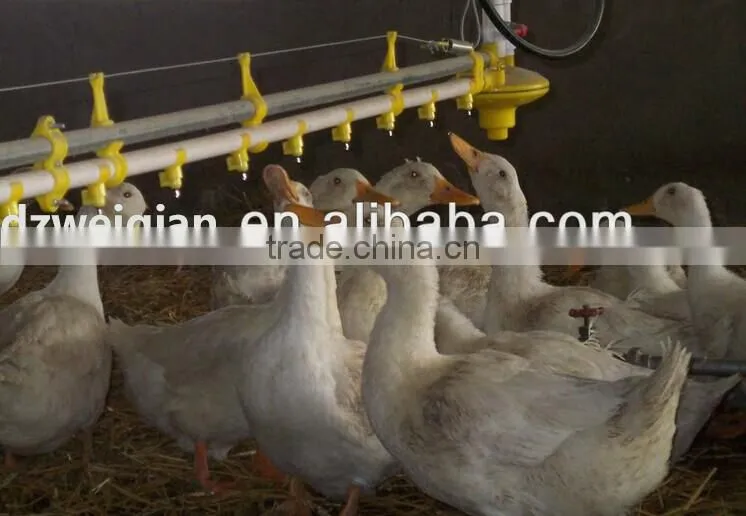 360 degree water nipple drinker for chicken