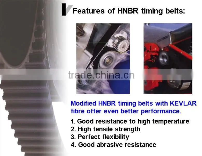 123 MY20 automobile car timing belt for Toyota