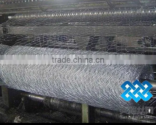 Galvanized chicken wire netting