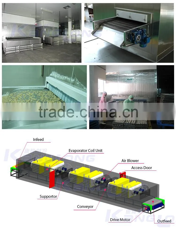 Large Output How To Freeze Fresh Shrimp Machine With Good Quality