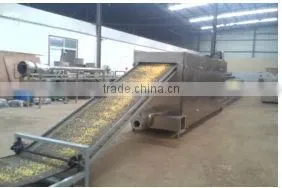 The CY65-II fried maize food/corn flaks machine line/plant