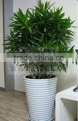 Practical garden plant pot