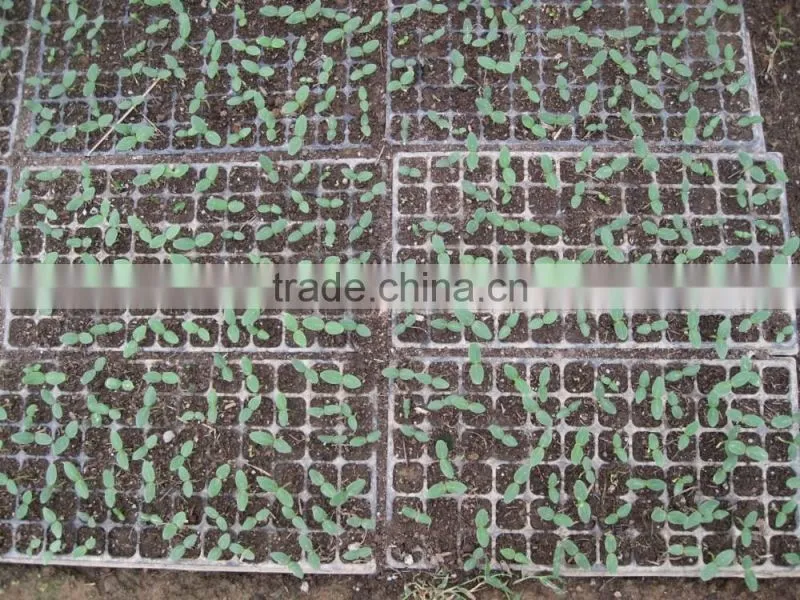 gardening supplies seed starter trays