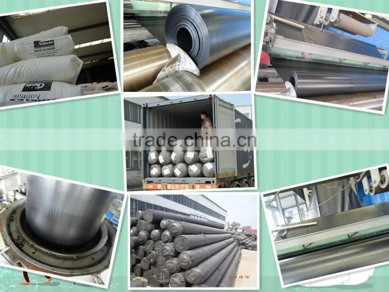 Woven Polyester Geogrid
