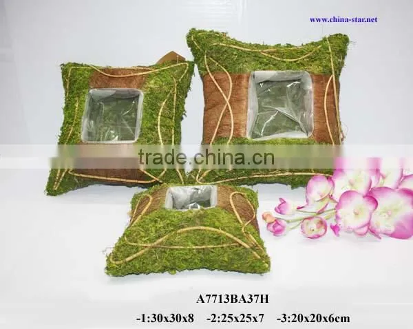 decorative moss plant pot supplier