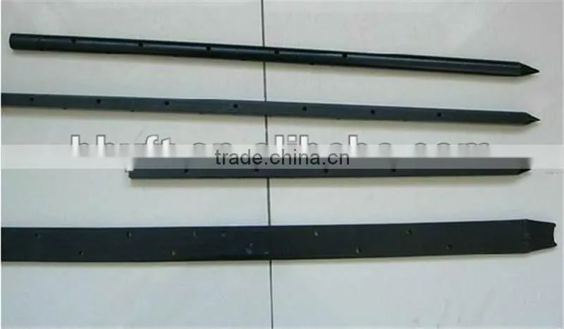 Factory Price of Square Nail Stakes/Round Nail Stakes on sale