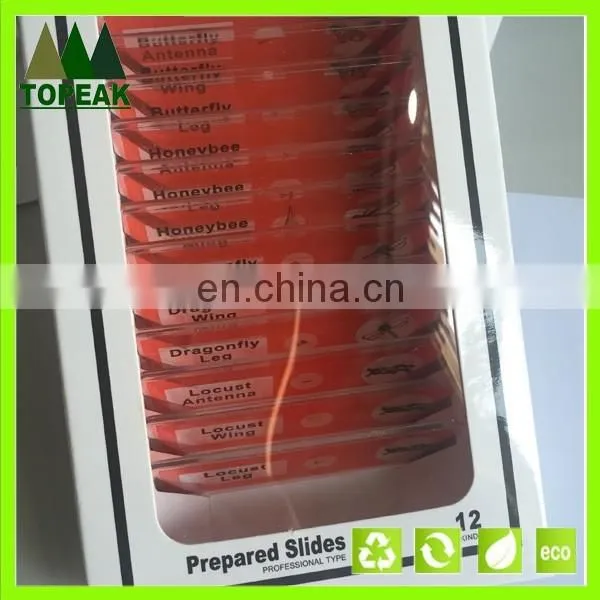 Insect type honey butterfly plastic Microscope prepared Slides
