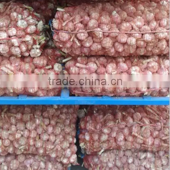 2016 new garlic fresh garlic Jinxiang garlic for export