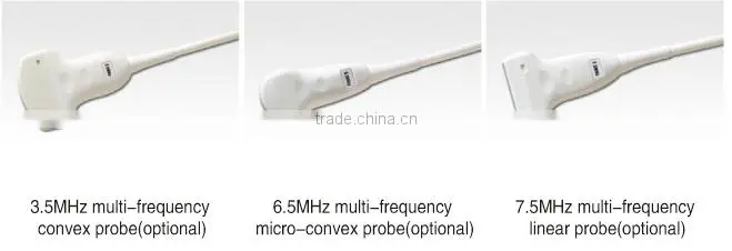 FN550V HOT selling full digital B model ultrasound veterinary portable
