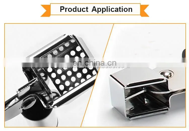 Stainless Steel Kitchen Accessory Garlic Press