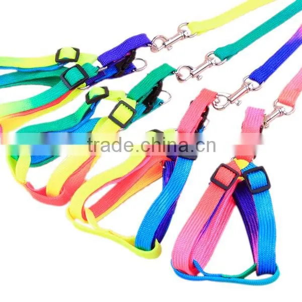 Hot selling promotional dog leash China wholesale 2016
