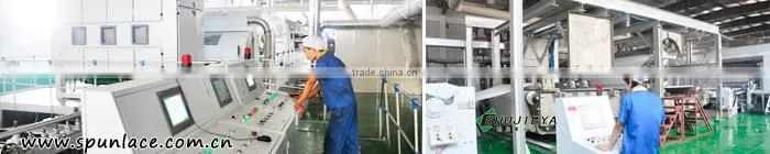 nonwoven fabric/wet wipes raw material