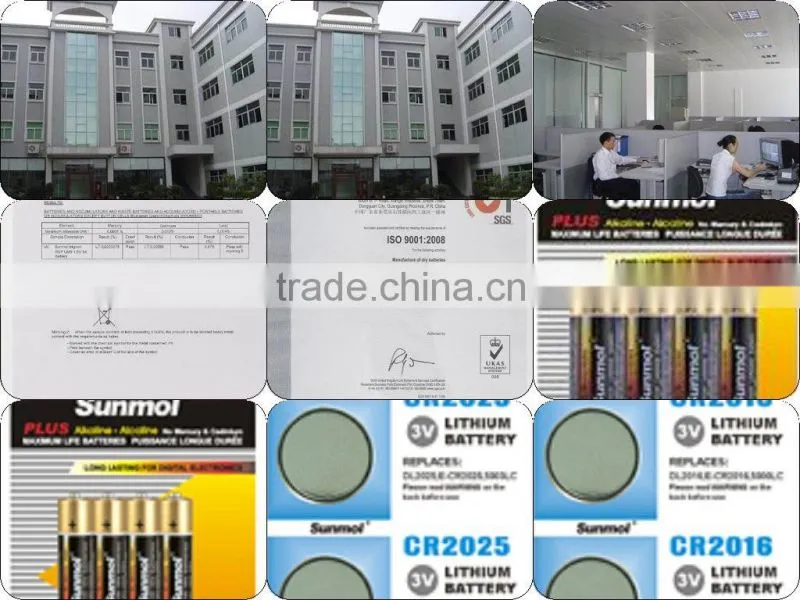 D/C/AA/AAA/9v dongguan manufacture