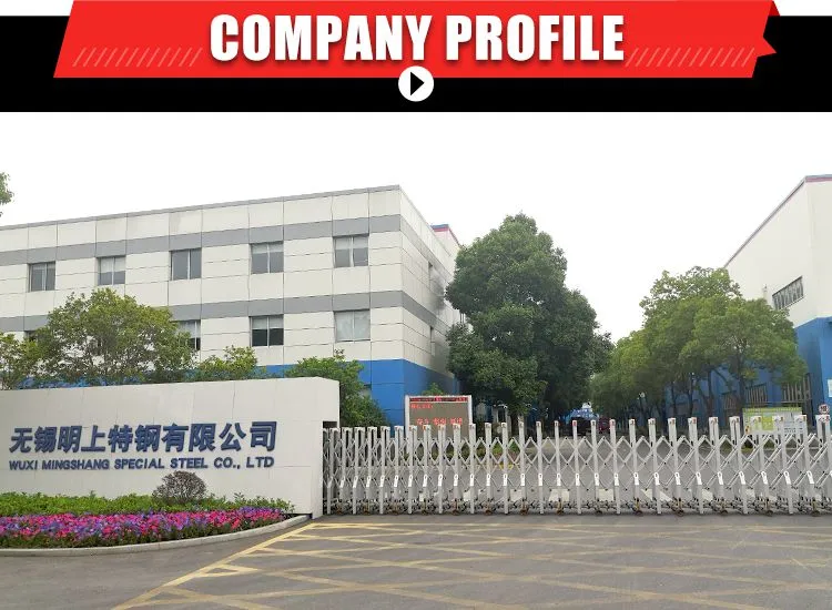 S20C Factory Best Price 20# Mild Carbon Steel round Bars Hot Rolled Cut-to-Size Service Available