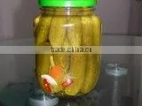 Premium quality Cucumbers in brine