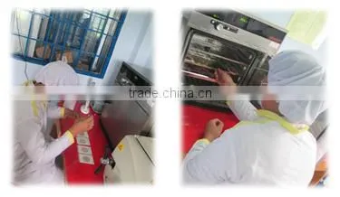 Vietnam roasted cashew grade LP with competitive price