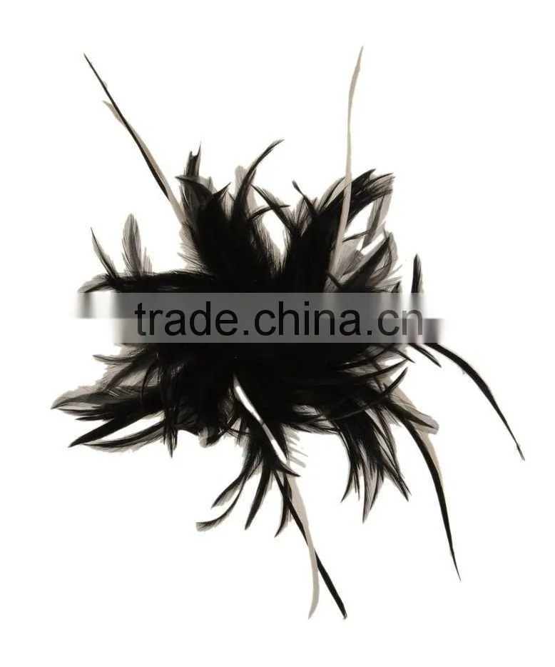 Fancy Feather Hair Fascinator/Clip/Barrettes