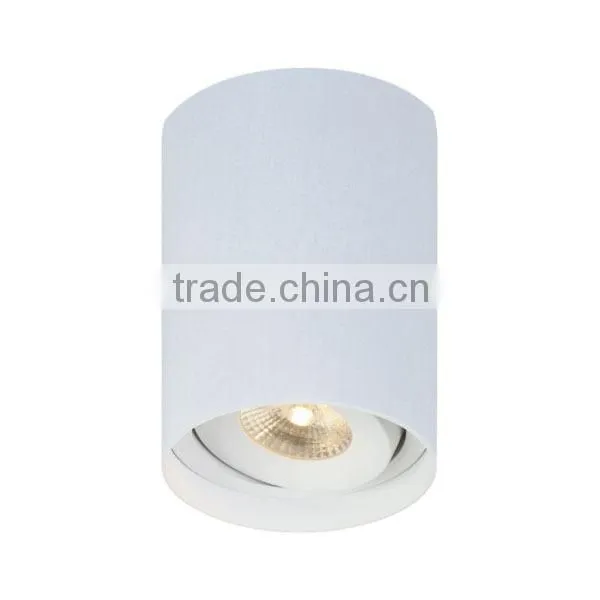 Adjustable high quality dimmable 10W COB led ceiling surface light with HEP driver