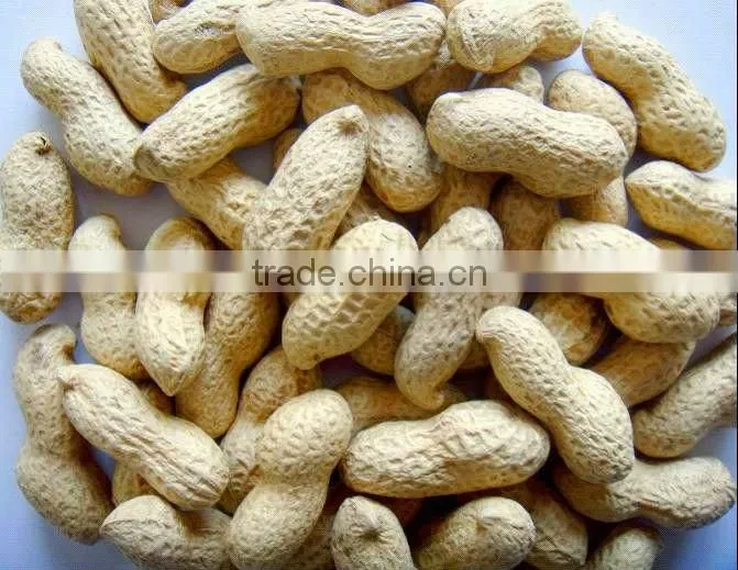 Chinese raw peanuts in shell