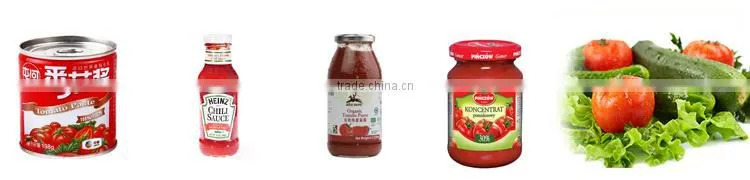 Low price excellent preformance tomato paste packaging machine