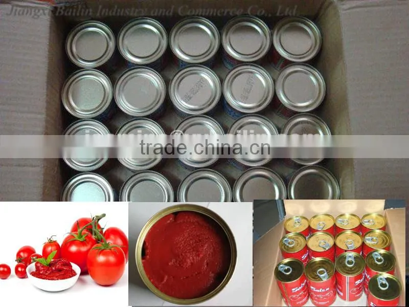 China Hot Sell Canned tomato paste 70g*100tins,food tin can making machine