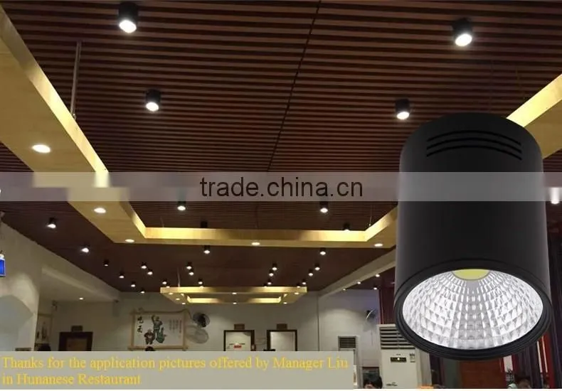 High quanlity led COB Downlights, LED indoor lights, LED Surface Mounted Downlights