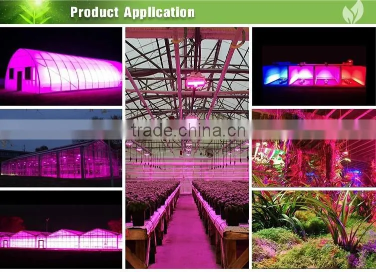 Hot 560W Full Spectrum LED Grow Light For Hydroponics Vege Medical Plants Fruit