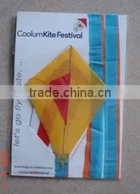 promotional paper kite, chinese kite