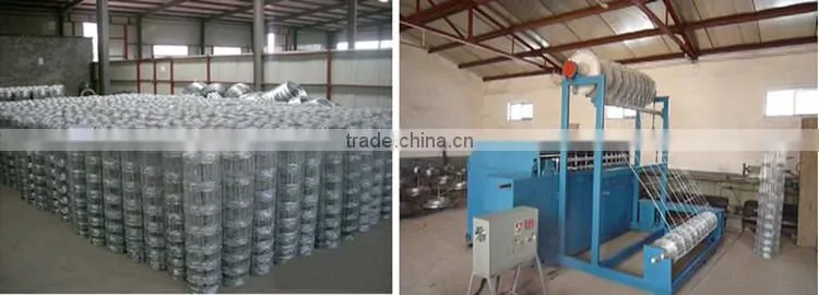 Cheap Agricutural Field Fence, Cattle Fence, animal fence from China Factory Price