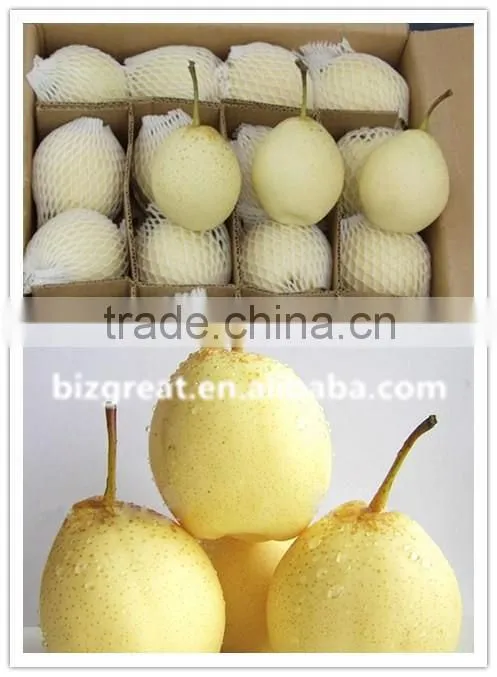 Supply fresh Ya pear with good quality for sale