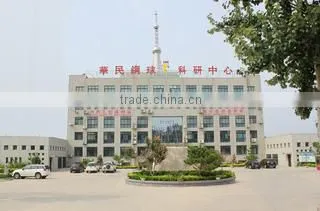 Shandong Huamin Steel Ball Joint-Stock Co., Ltd. company overview - view 1