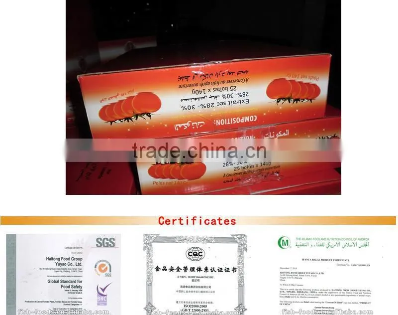 Tomato paste with tin packing in 140gX25tins
