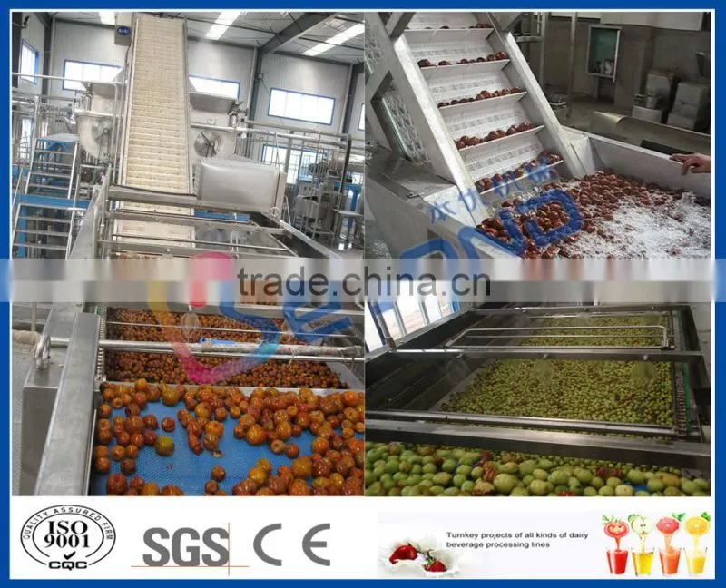 Dates production line