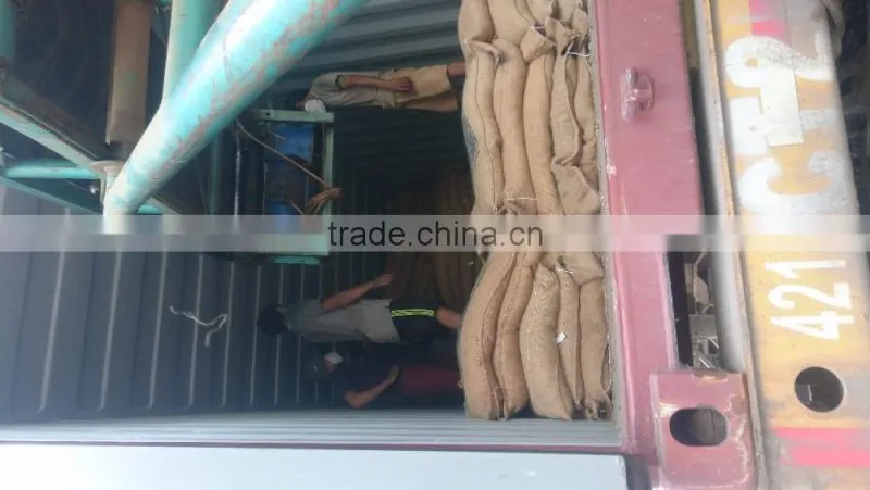 ARABICA GREEN COFFEE BEANS- High quality