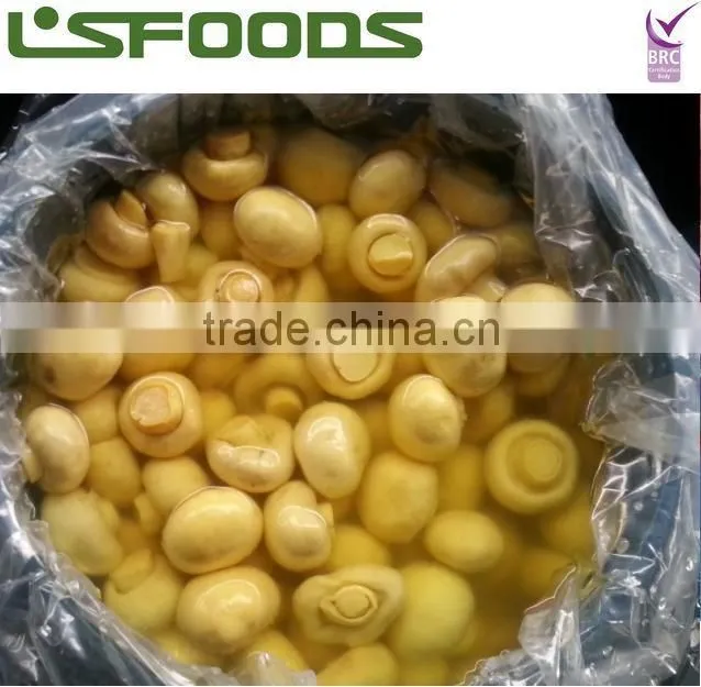 mushroom in brine in drum