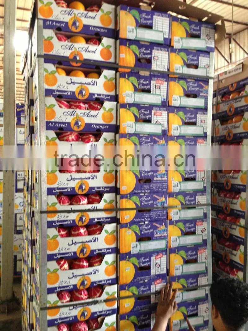 Avilable MOQ of Oranges and Lemons @ Forwell